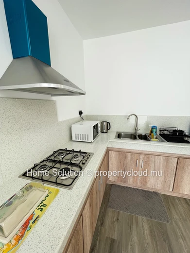 Stunning New Single-Story Villa in Grand Gaube