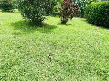 2 Bedroom Townhouse, Duplex