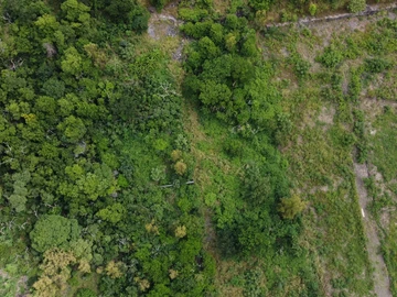 Residential Land