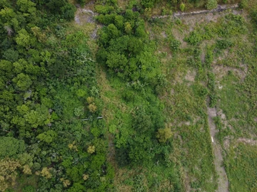 Residential Land