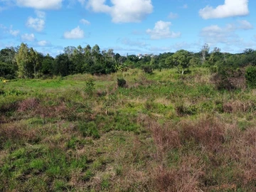 Residential Land